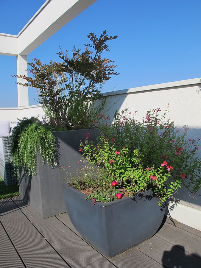 Aménagement d'un balcon avec plantes en pot